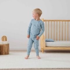 Ergopouch 1.0 TOG Organik Pamuklu 2 Parça Pijama Takımı Dragonflies